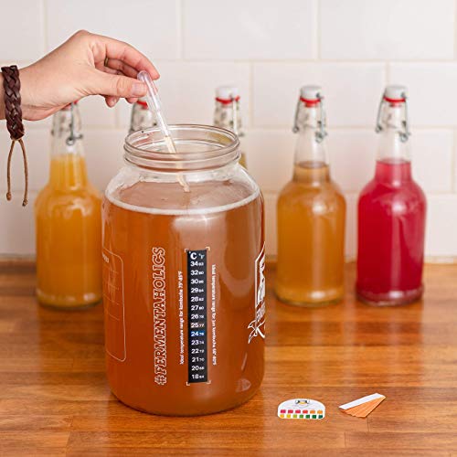 Jun Kombucha Starter Culture - USDA Certified Organic Jun SCOBY & Starter Tea - Makes 1 Gallon - Brewed with Organic Green Tea & Honey - Brew Jun Tea! - Thumbnail 4