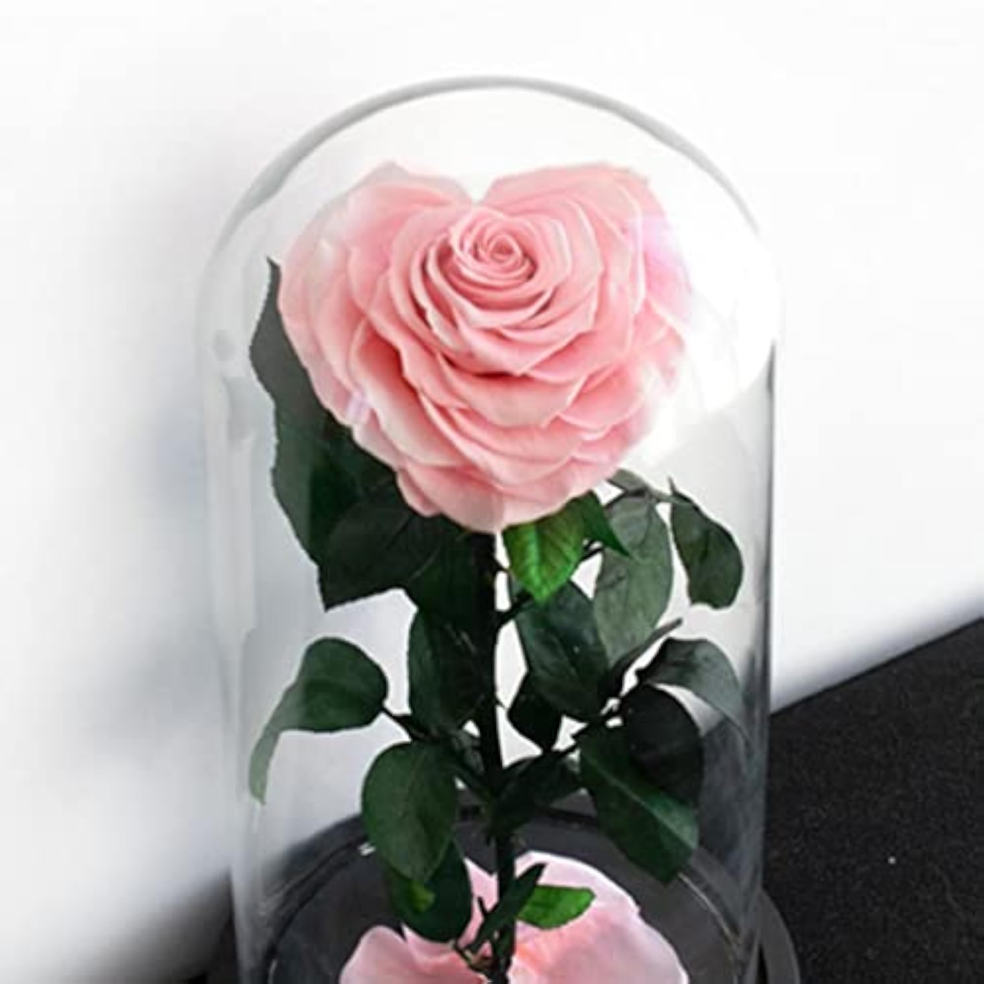 Heart-Shaped Rose Preserved Flowers with Gift Box
