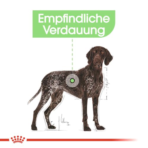 ROYAL CANIN Digestive Care Maxi Trockennahrung für Hunde – 12 kg