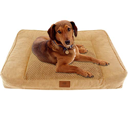 American Kennel Club Tan Memory Foam Extra Large Sofa Dog Pet Bed, Tan Popcorn Fur, Model: AKC-1882 Tan