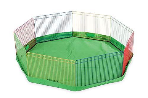 Caneta de brinquedo Prevue Pet Products Multicolorida pequena para animais de estimação 40090