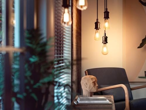 Philips Hue White Ambiance, ampoule LED connectée E27 Filament ST64, compatible Bluetooth, fonctionne avec Alexa, Google Assistant et Apple Homekit
