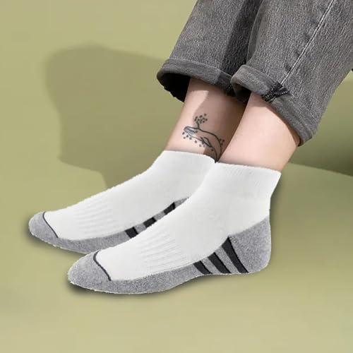 Image of MOMISY Men's Premium Cotton Cushion Ankle length Socks, (Multicolor) Pack of 5 (Free Size)
