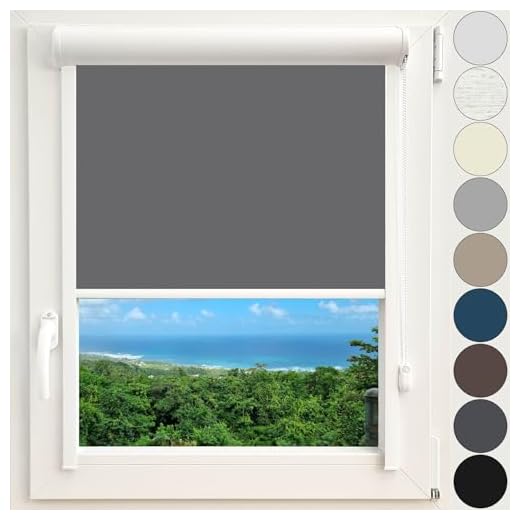 Kassettenrollo Thermorollo Verdunkelungsrollo Fenster Rollo mit Kassette und Führungsschienen zentimetergenaue Maßanfertigung Montage zum Kleben ohne Bohren Silberne Beschichtung Farbe Anthrazit