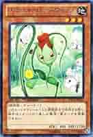 ナチュルローズウィップ レアパラ（DTC2）3枚セット 遊戯王 ナチュル・ローズウィップ 字レア パラレル DTC 良品