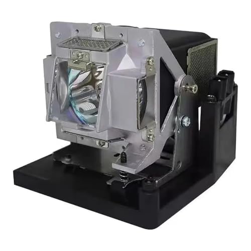 Ampoule projecteur 5811117496-S : résoud les problèmes d'image sombre sur D7180HD