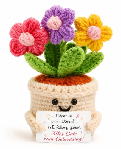 TheGiffter Fleurs crochetées à la main - Cadeau d'anniversaire pour femme