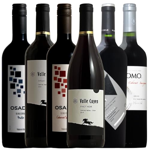 ヴィネクシオ チリ赤ワイン6本セット