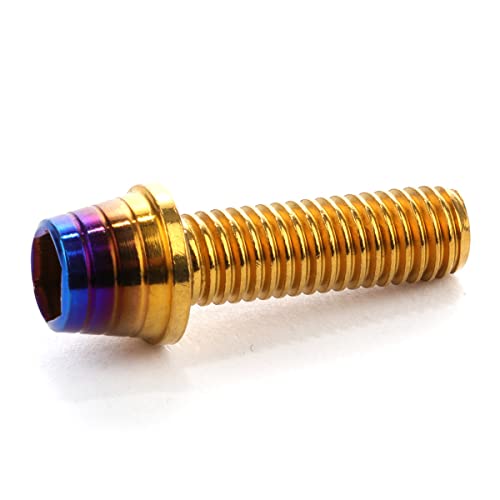 �L���b�v�{���g M8×25mm �e�[�p�[�V�F���w�b�h �J�X�^���{���g �f�U�C�� �w�b�h �X�e�����X�� �S�[���h&�`�^���J���[ 2�{�Z�b�g