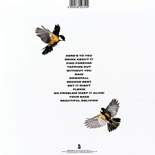 Beautiful Oblivion [Disco de Vinil]