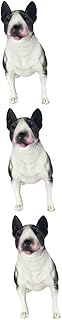SAFIGLE 3 Pçs Simulação Bull Terrier Modelo Animal Bull Terrier Estátua De Cachorro Bull Terrier Presentes Modelo Bull Terrier Figurinhas De Cachorro Para Crianças Brinquedo De Plástico