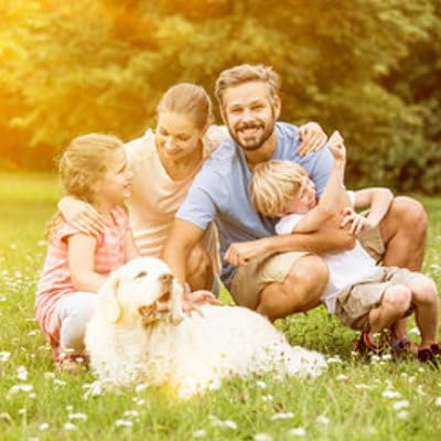 HILDEGARD von BINGEN Multi Energie Globuli. Gebündelte traditionelle energetische UrKraft für mehr Einklang & Lebensfreude in Violettglasflasche von Sonnenherz