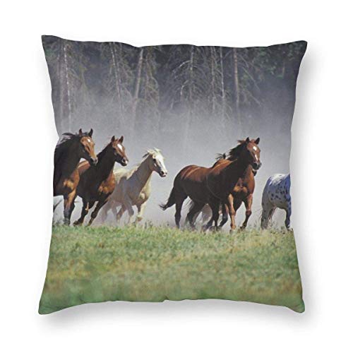 Running Horse Pillow Case The Best Amazon Price In Savemoney Es