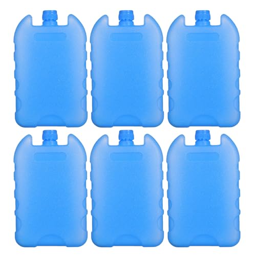 Blocs réfrigérants réutilisables Toyvian pour ventilateur de climatisation, lot de 6 pièces