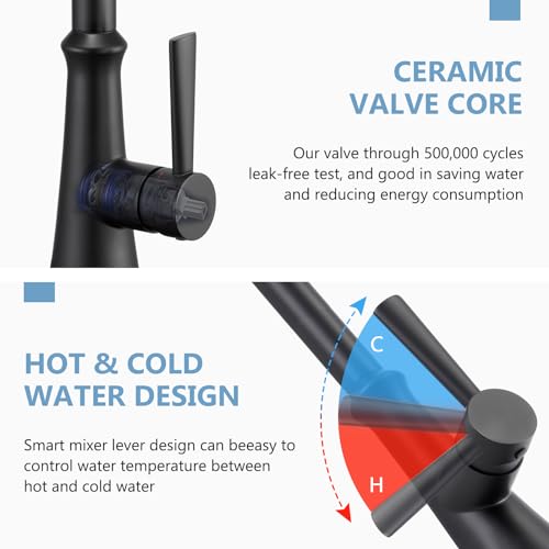Aktines Küchenarmatur mit 3-Funktion-Brause und Praktischer Bürste ausziehbar, Einhebelmischer Spültischarmatur Spülenarmatur Hochdruck Armatur Wasserhahn Küche Edelstahl Schwarz