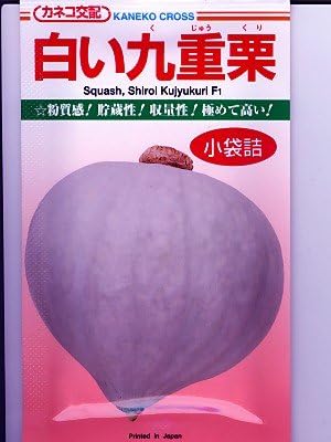 Amazon 白い九重栗 カネコのカボチャ種です 野菜
