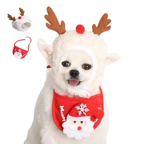 Yucahype NX}X ybg RX`[ RXv  Lp }t[ Xq  ߑ ybg ^ ^ ^ NX}X ʐ^Be (L zCg)