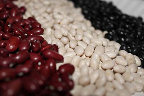 Findlay's Organics - Organic Dry Bean Variety Pack 10lb Bags | Michigan Grown | Family Owned (Black Bean, Black Bean, Small Red Bean)