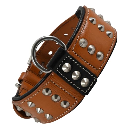 Collar de cuero premium para perros medianos 2 pulgadas marrón