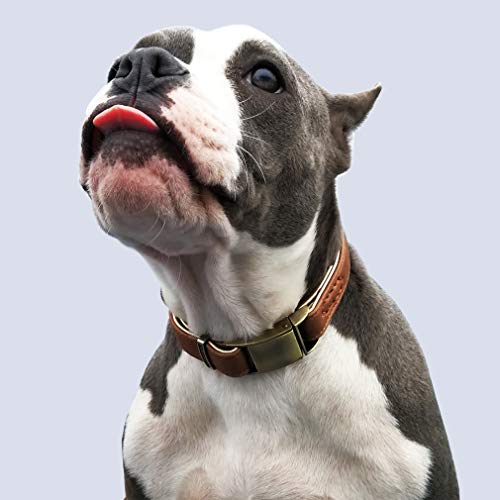 chede Basic Classic Luxury Padded Leather Dog Collar,The Seatbelt Buckle,for Large Medium Pets (XL, Brown) - Image 8