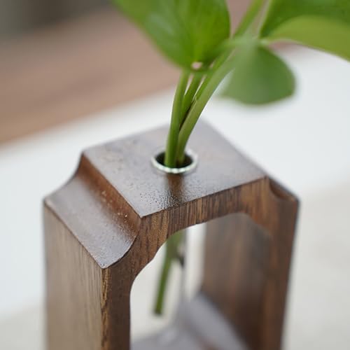 Vase hydroponique en verre avec support bois pour salon - 7