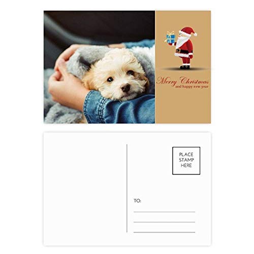 Cartes postales Chiot mignonnes pour décorer vos cadeaux et anniversaires