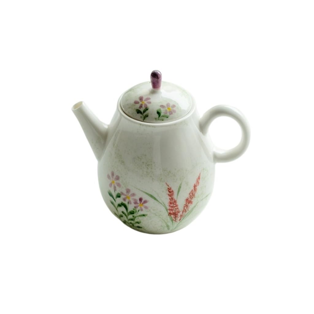 PBWERIGL Japanese ceramic tea pot, Ceramic Hand-Painted Kung Fu Tea Set Teapot With Filter 150ML