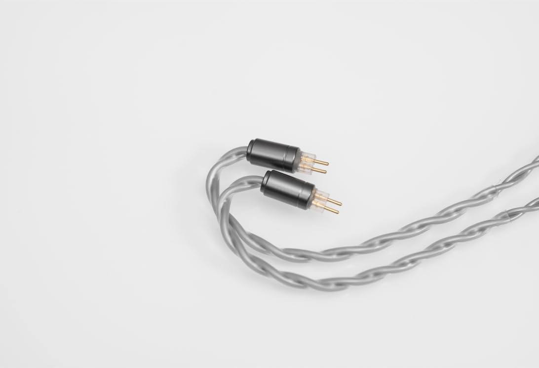 Fanmusic Dunu Titan S2 Dynamic Driver In-Ear Kopfhörer 0.78 2pin Anschlüsse (Browm, Type-C Jack mit Mikrofon)