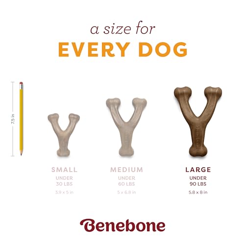 Image of Benebone Pumpkin Spice Wishbone - Limited Edition Flavor, Durable Dog Chew Toy for Aggressive Chewers, Made in USA, Large
