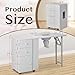 Winado Foldable Manicure Table Nail Table for Nail Tech, Nail Desk Station Makeup Beauty Salon Storage Acetone Resistant with Electric Dust Collector, Lockable Wheels, Wrist Cushion, Drawers & Cabinet