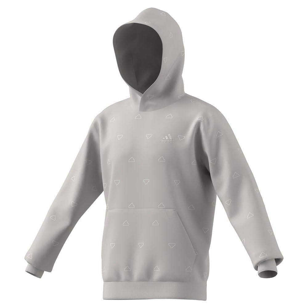 adidas Men's Seasonal Essentials Monogram Fleece Graphic Hoodie, grey two, M
