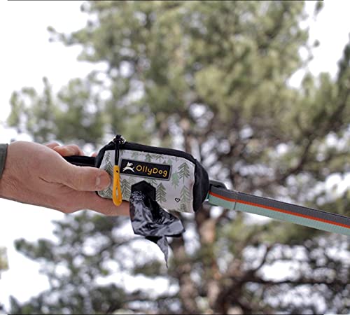 Ollydog Scoop Pick Up, Dog Poop Bag Holder, Dog Poop Bag Dispenser With Leash Attachment, Water Resistant Dog Bag Holder, Fits Standard Roll Of Doggie Poop Bags (Fiesta) #TOP7