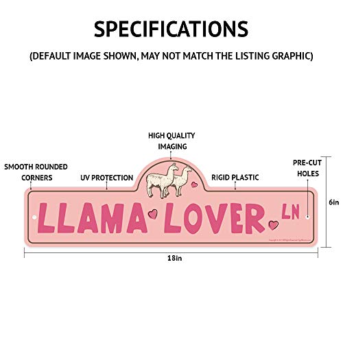 Bass Guitar Player Street Sign | Indoor/Outdoor | Funny Home Décor for Garages, Living Rooms, Bedroom, Offices | SignMission Personalized Gift