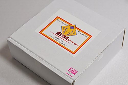 Amazon Co Jp Fgo Fate Grand Order 織田信長 バーサーカー 水着ノッブ フル可動 カラーレジンキット ガレキ ワンフェス Wf 18 冬 放課後リボル部 ホビー 通販