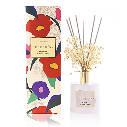 Cocorrína Premium Reed Diffuser Set with Preserved Baby s Breath & Cotton Stick Mossy Pine | 6.7oz Scent Fragrance Oil Diffuser for Bedroom Bathroom Living Room Home Décor