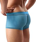 Mens Sexy Underwear Breathable Mesh Boxer Briefs See Through Hollow Lingerie