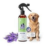 kin+kind Flea and Tick Spray for Dogs – Plant Based Flea Spray with Rosemary, Lavender & Cedarwood Oil – Pet Supplies for Bugs and Pests – Flea & Tick Pet Spray Prevention 12 fl oz