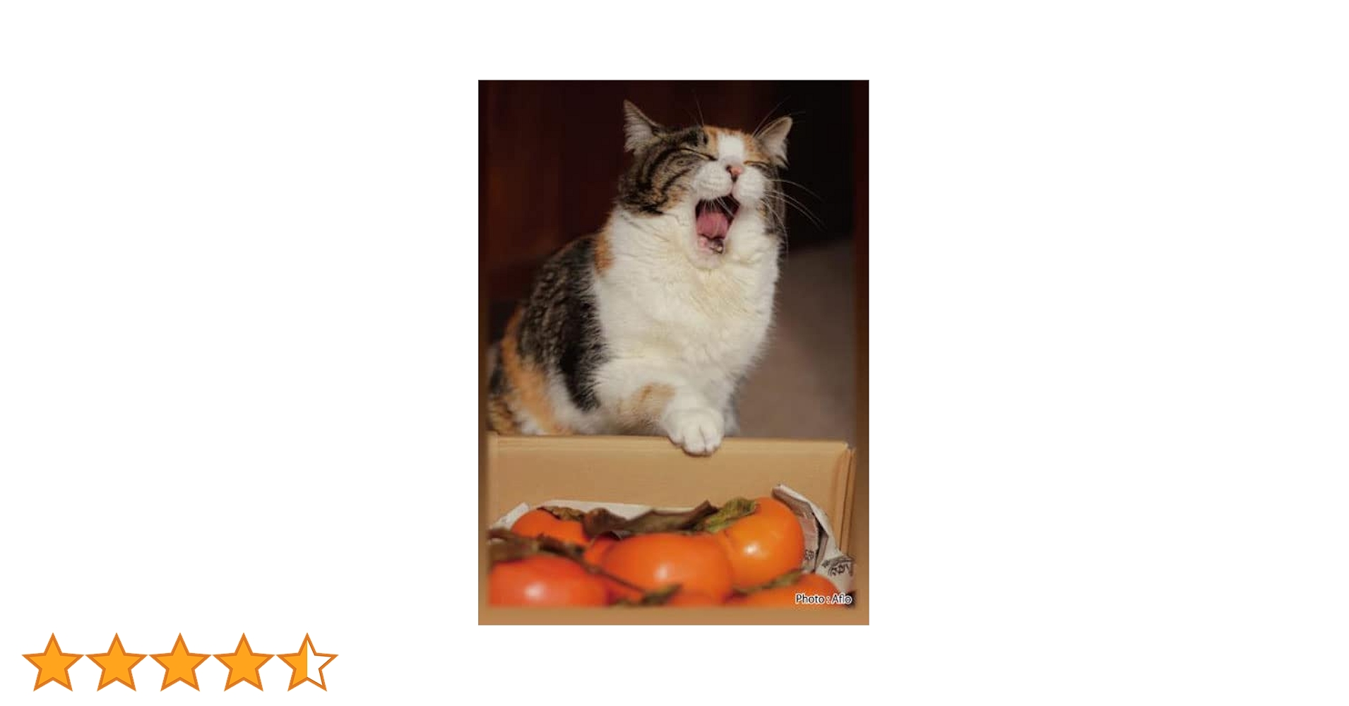 Amazon.co.jp: SUGOIスリーブシリーズ ふるもっふ ねこ ver.2