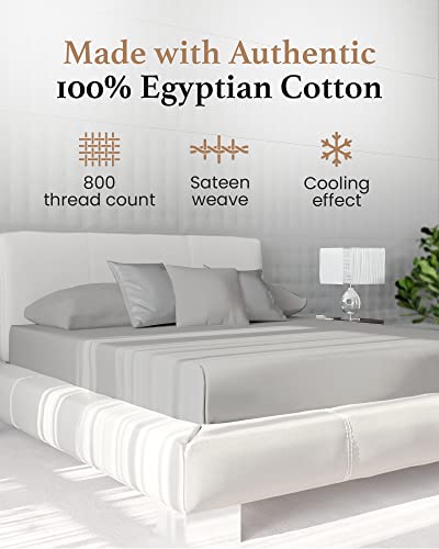 800 Thread Count Light Gray Queen Fitted Sheet Only Deep Pocket, Egyptian Cotton Queen Fitted Sheet Only, Soft Fitted Sheet,Luxury Egyptian Cotton Fitted Sheet, 16” Deep Pocket Queen Fitted Sheet Only #TOP1