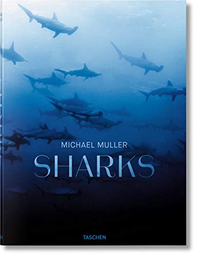Télécharger FO-Sharks - Anglais - livre En ligne