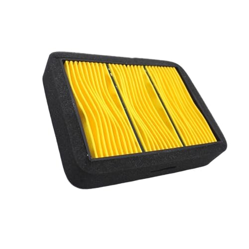 Filtre à air de remplacement pour moto Benelli Leoncino 500 durable