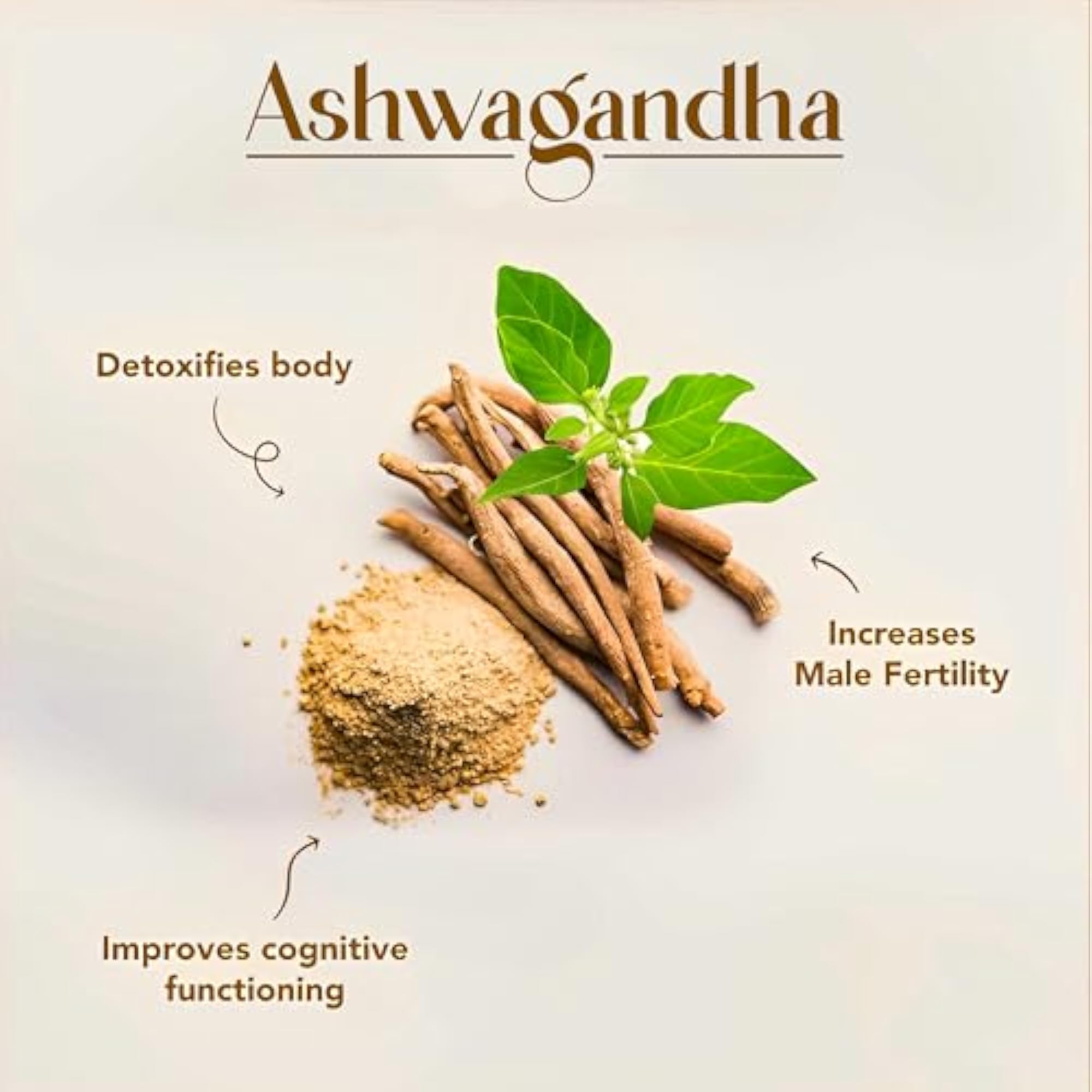 Oribite Natural Ashwagandha Capsule, 60 Tablets