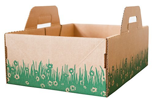 Disposable Ten Second Litter Box (8-Pack)