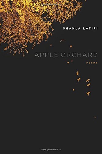 Apple Orchard