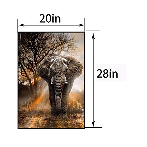 Amazon.co.jp: アートパネル象の絵のキャンバスの壁の芸術：居間