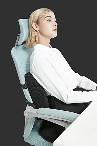 Lumbar Support Pillow for Office Chair - Improve Back Pain, Posture While Sitting - Memory Foam Cushion with Adjustable Strap for Desk/Gaming Chair, Car, Couch, Recliner