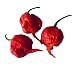 15 Carolina Reaper Pepper Seeds by Pepper Gardeners
