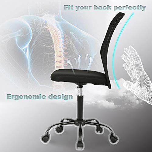 Simple Mesh Office Chair, Ergonomic Office Chair Armless Home Office Chair Adjustable Computer Chair Task Rolling Swivel Chair Black Desk Chair For Working, Meeting - Black #TOP2