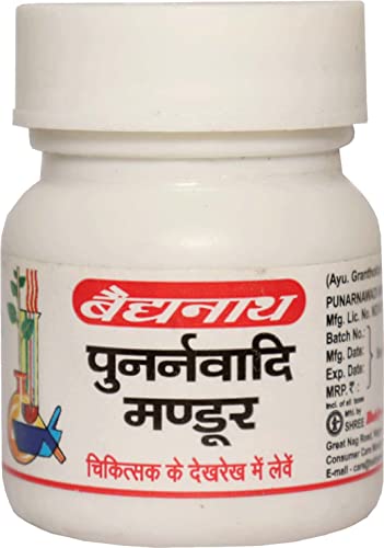 Baidyanath Punarnavadi Mandur - 40 Tablets (Pack of 2) - Image 4