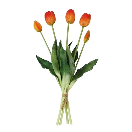 yo[ZNgfp[gz A[gt[ 5s[X ԑ `[bv Ƃ̑  _CjOe[ȗ Mtg ̓̃Mtg 킢 rO  [Ă̐F [sAi]